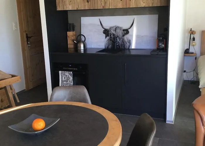 Les Lupins * Val dʼIlliez